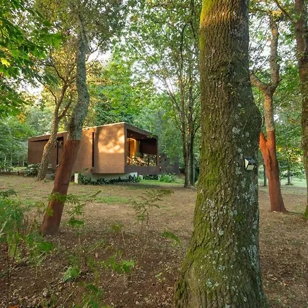 Nature Escape With Pool & Bbq Holiday home