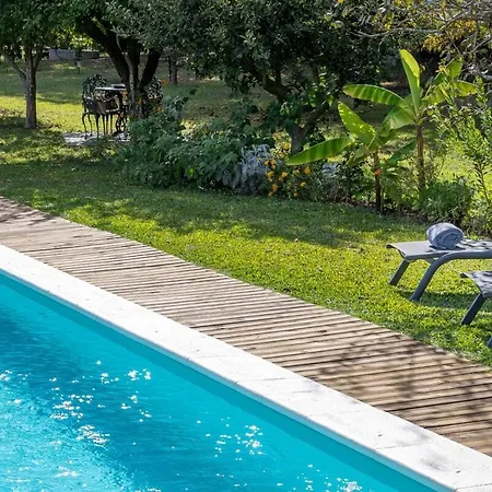 Nature Escape With Pool & Bbq Holiday home