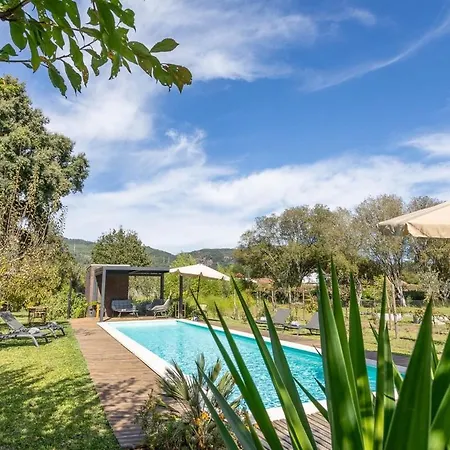 Nature Escape With Pool & Bbq Holiday home Viana do Castelo
