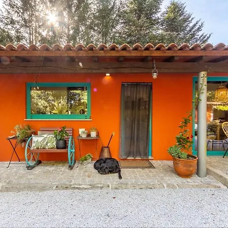 Nature Escape With Pool & Bbq * Viana do Castelo