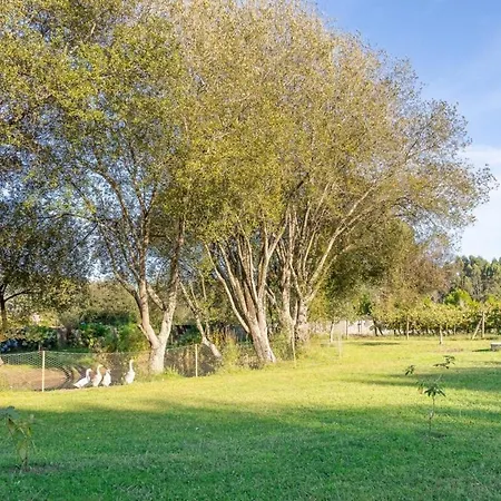 Nature Escape With Pool & Bbq * Viana do Castelo
