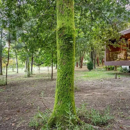Casa vacanze Nature Escape With Pool & Bbq Viana do Castelo